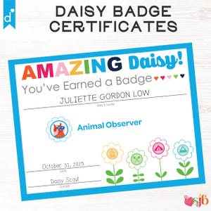 Girl Scouts Daisy Badge and Award Certificates: Complete Set [Fillable PDF] Prints 1 certificate per page Daisies