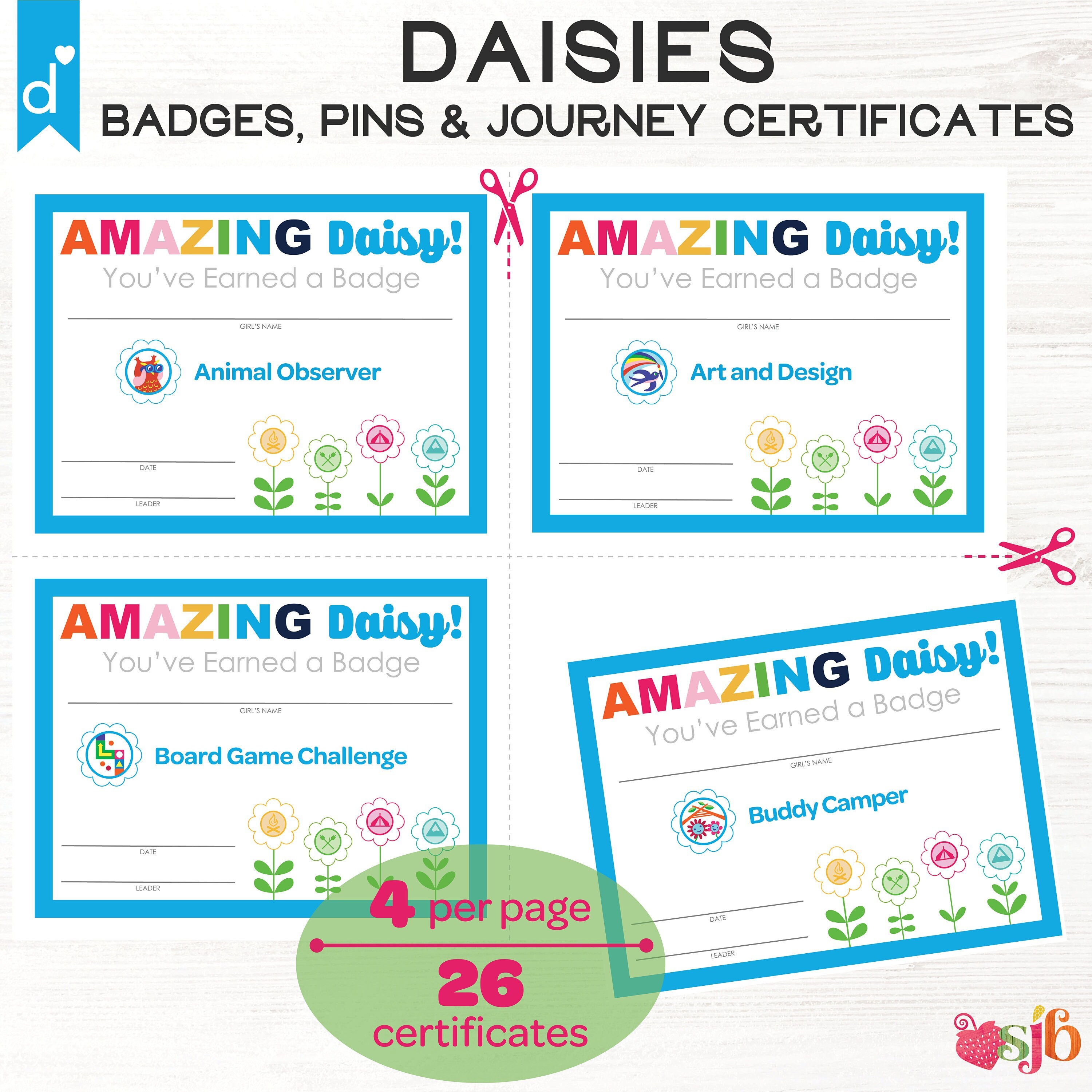 Daisy Badge Journey and Pin Certificates Complete Set Girl Scouts ...