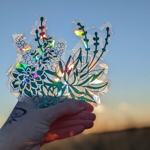 Décalcomanie attrape-soleil succulente - sticker arc-en-ciel réutilisable - attrape-soleil plante - adhésif statique pour fenêtre - amoureux des plantes - évitez les collisions avec les oiseaux
