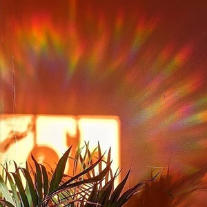 May include: A close-up of a wall with a rainbow prism light reflecting on it. The light is creating a colorful pattern on the wall. A green plant is in the foreground.