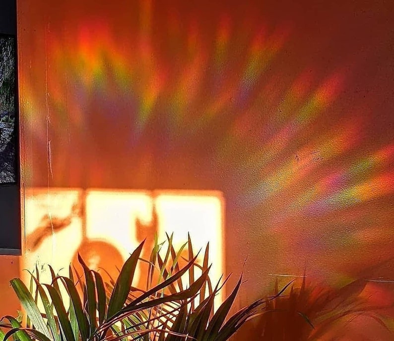 May include: A close-up of a wall with a rainbow prism light reflecting on it. The light is creating a colorful pattern on the wall. A green plant is in the foreground.