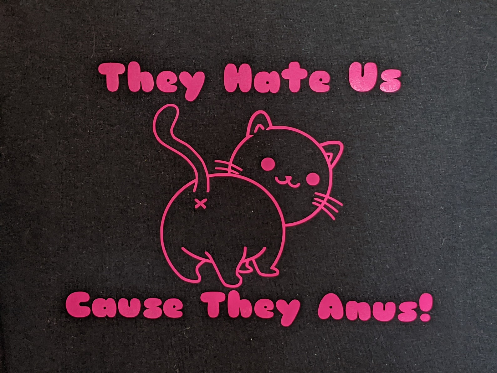They Hate Us Cause They Anus Graphic Tee Cat Butt TShirt Etsy