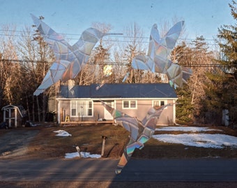 Juegos de pegatinas para ventanas con colibríes - Crea arcoíris - Colibríes - Adhesivo estático reutilizable - Atrapasueños - Evita colisiones con pájaros
