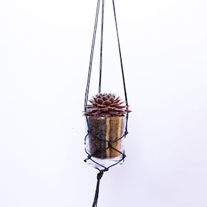 Op de afbeelding: Een kleine succulent in een glazen pot hangt aan een zwarte macrame plantenhanger. De hanger is bevestigd aan een houten stok.