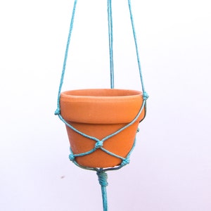 May include: A terracotta pot hanging from a blue macrame plant hanger.