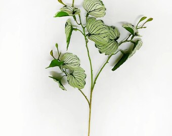 May include: A single stem of artificial foliage with green leaves and white veins. The leaves are shaped like large, rounded hearts.