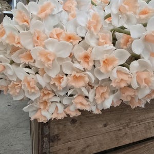 May include: A large bouquet of white and peach-colored daffodils. The flowers are arranged in a wooden crate, showcasing their delicate petals and vibrant colors. The peach centers contrast with the white petals, creating a visually appealing floral arrangement.