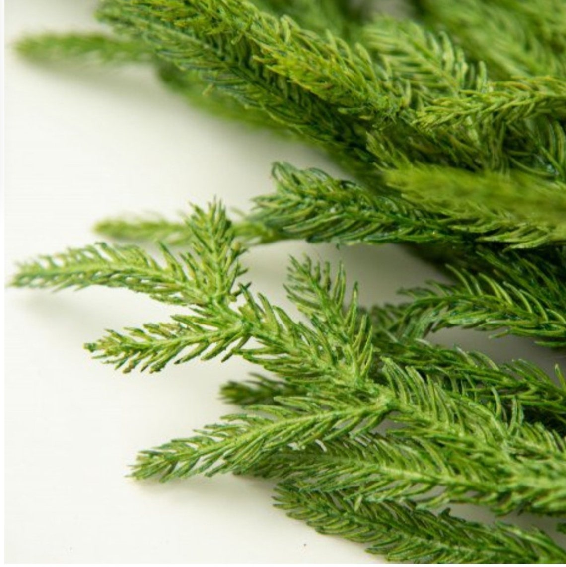 Christmas Norfolk Pine Garland 5ft Holiday Decorating Wedding Etsy