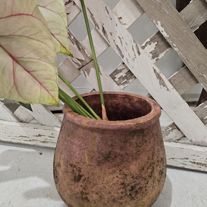 May include: A terracotta-colored ceramic pot with a rough, textured surface. The pot is round and has a wide opening at the top. It is slightly weathered and has a rustic appearance.