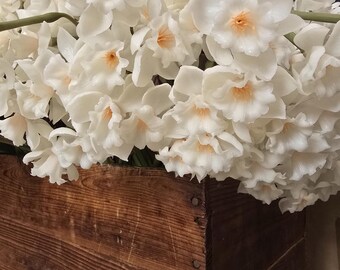 Faux Easter Narcissus Paper White Floral Bunch Stems Realistic Decor Floral Vase Spring Florals Bundle of 3 Stems