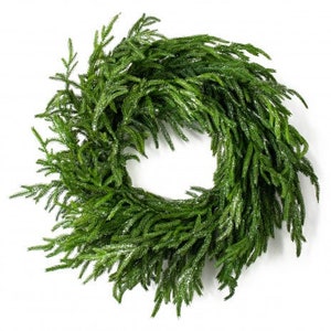 Christmas 24&quot; Frosted Norfolk Pine Wreath Frost Dusted Holiday Door Wreath Farmhouse Decor Pine Branch