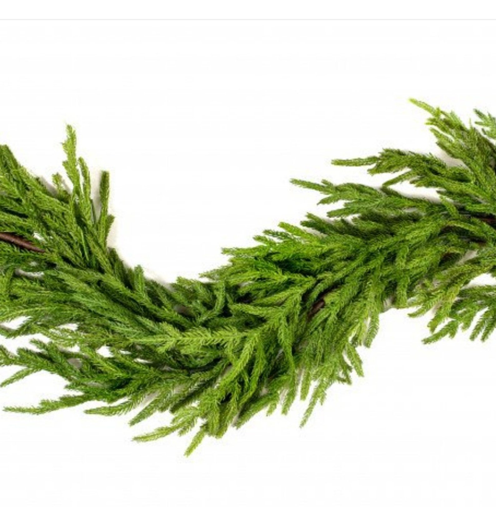Christmas Norfolk Pine Garland 5ft Holiday Decorating Wedding Etsy