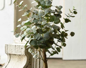 Faux 3' Potted Lakeland Eucalyptus Tree Floral Artificial Plant Farmhouse Style Wedding Tabletop Counter Kitchen Decor