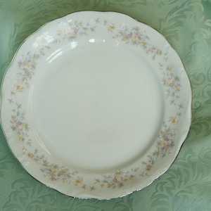 Vintage Johanna Haviland Bavaria Flora Splendor Salad Plate