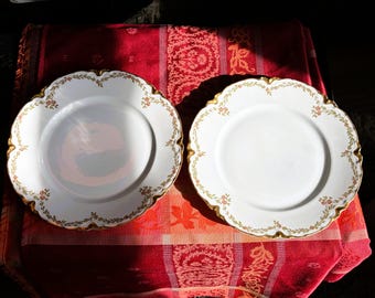 Haviland Limoges Schleiger 523 Dinner Plate - set of 2
