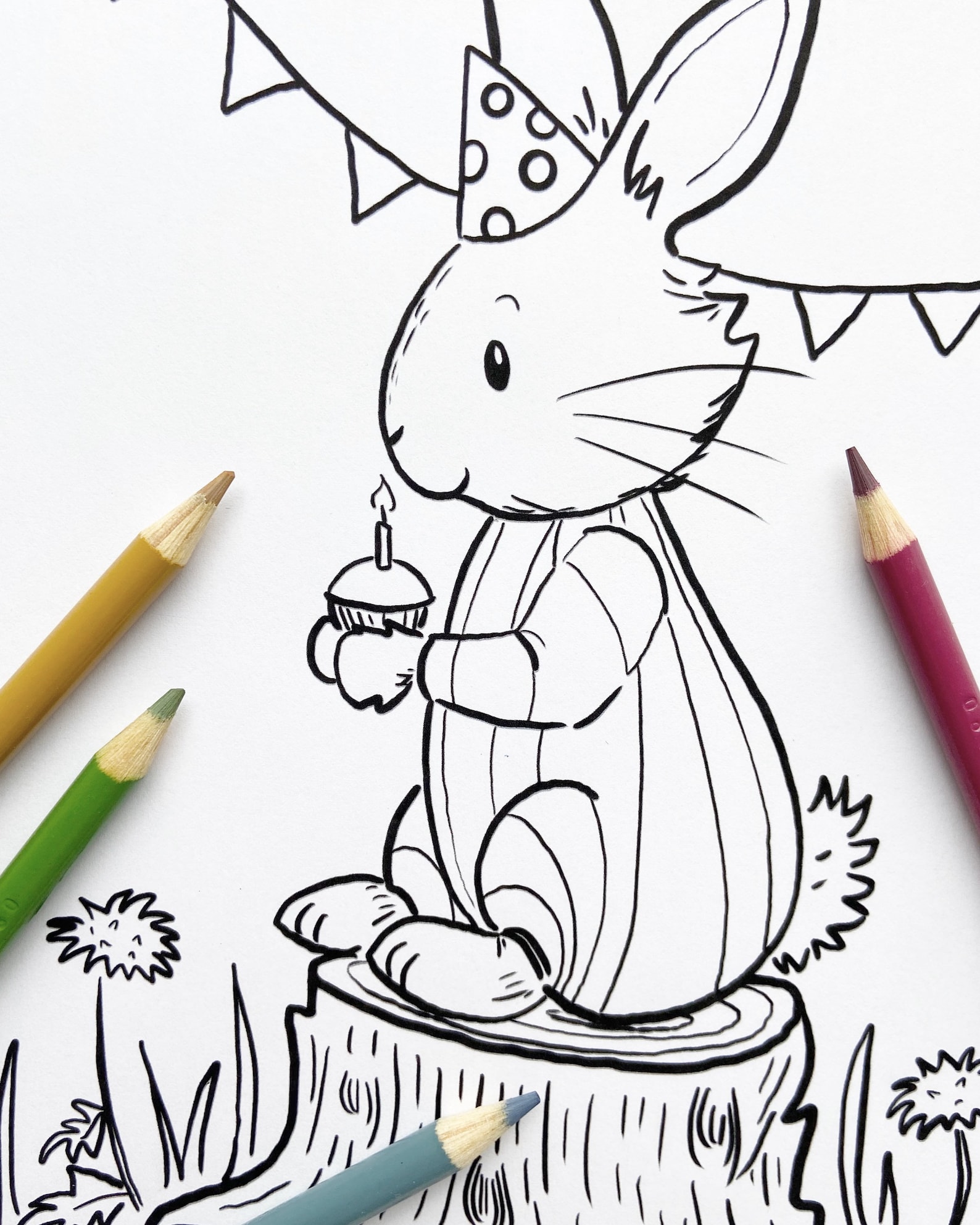 Bunny Birthday Coloring Sheet Woodland Birthday Printable | Etsy