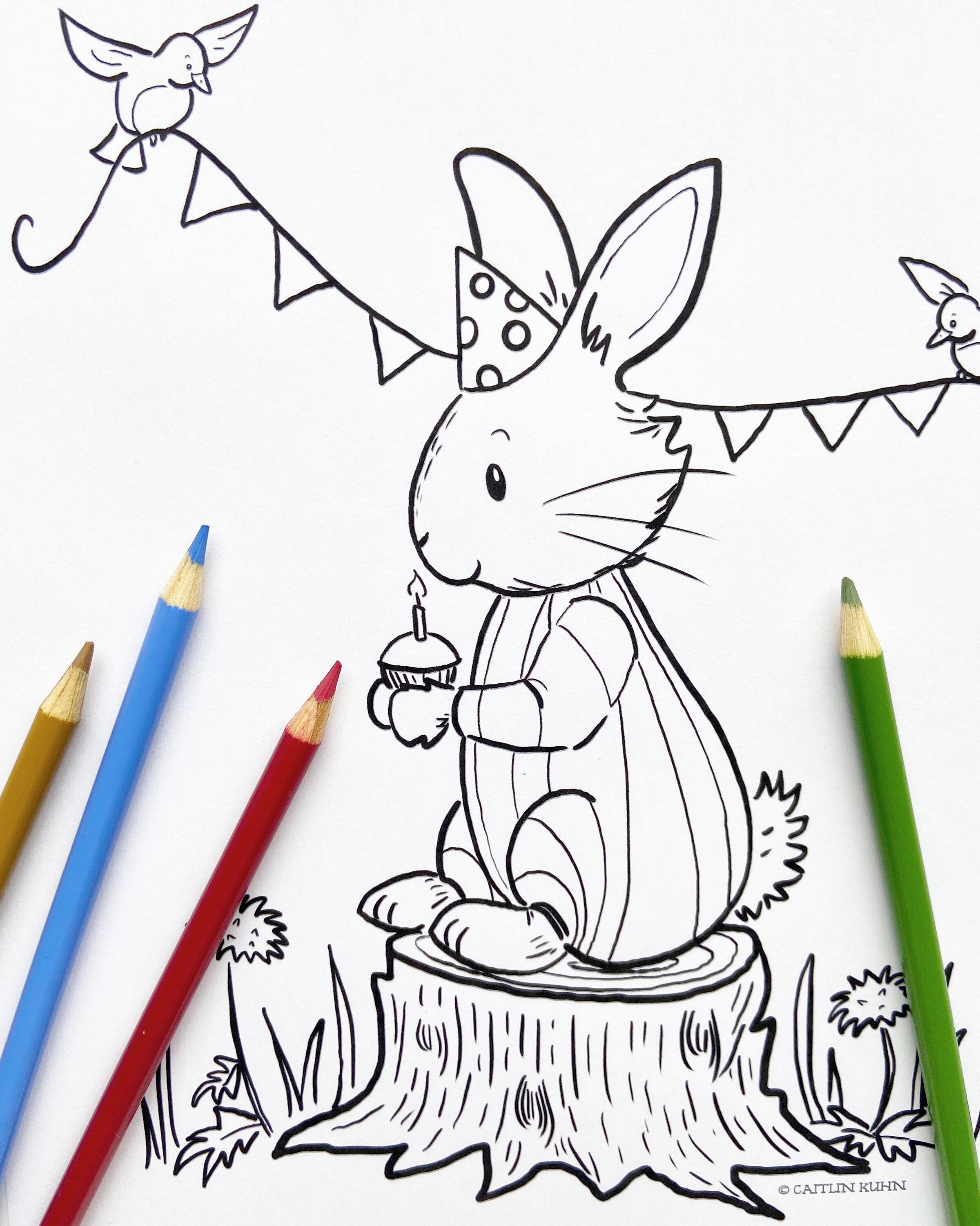 Bunny Birthday Coloring Sheet Woodland Birthday Printable - Etsy Nederland
