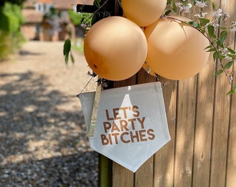 Let's Party Bitches Hanging Flag Decoration. Hen Party Decor, Big Birthday Decorations, Cool Party Ideas, Birthday Banner, 18th, 21st, 30th