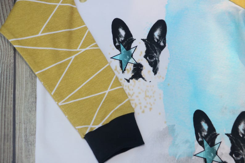 Puede incluir: Camiseta blanca de manga larga con un patr&oacute;n geom&eacute;trico en una manga y un bulldog franc&eacute;s blanco y negro con una estrella azul sobre el ojo en el otro lado. El fondo es una acuarela azul y blanca.