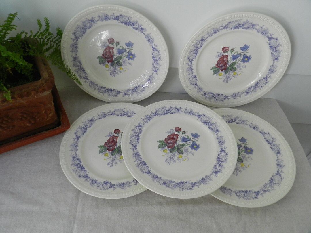 Spode Spring Plates Spode Dinner Plates - Etsy