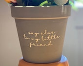 Custom - Terra Cotta Pot