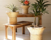 Set Of 3 Flared Rattan Planters