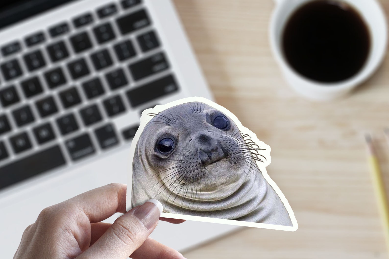 Awkward Seal Cute Car Bumper Vinyl Sticker Joke Gag College Student Interne...