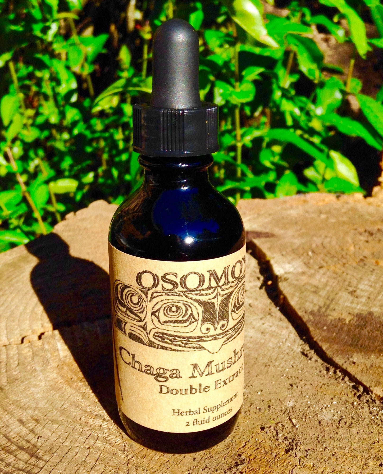 Chaga Mushroom Double Extract Organic Alcohol Tincture Etsy