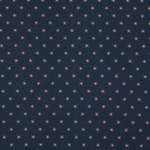 1/2 yard 100% Cotton Oxford Sparkle 60 Wide : Dailylike Canada image 2