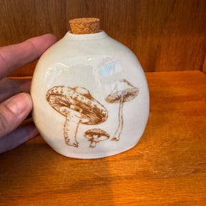Barattolo da farmacia in ceramica con tappo a fungo fatto a mano a 2 lati