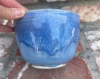 Bol de nourriture Ramen bleu