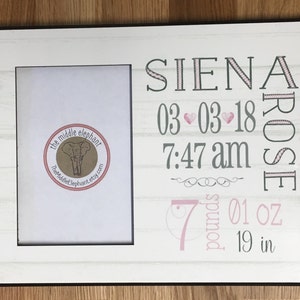 Baby Girl Personalized Picture Frame, Baby Girl Gift, Personalized Photo Frame, Baby Picture Frame, Wood Background,newborn frame