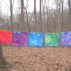 May include: Five tie-dye fabric squares hang on a clothesline in a wooded area. The squares are in various shades of red, purple, blue, green, and pink.