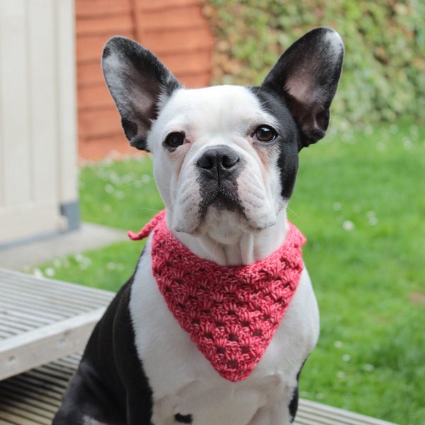 crochet dog bandana PDF pattern/ crochet dog scarf/ crochet for pets/ crochet for dogs/ crochet dog bandana scarf pattern/ pet bandana/
