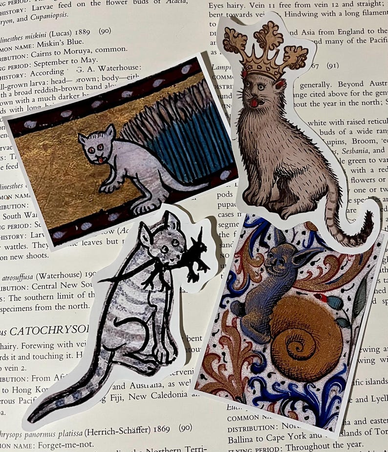 May include: A collection of vintage illustrations featuring cats, a snail, and a flower. The illustrations are printed on paper and have a whimsical, medieval aesthetic.