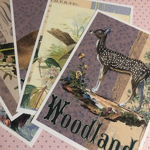 Postales del bosque. Bonitas tarjetas de bosque con ciervos, ranas y petirrojos