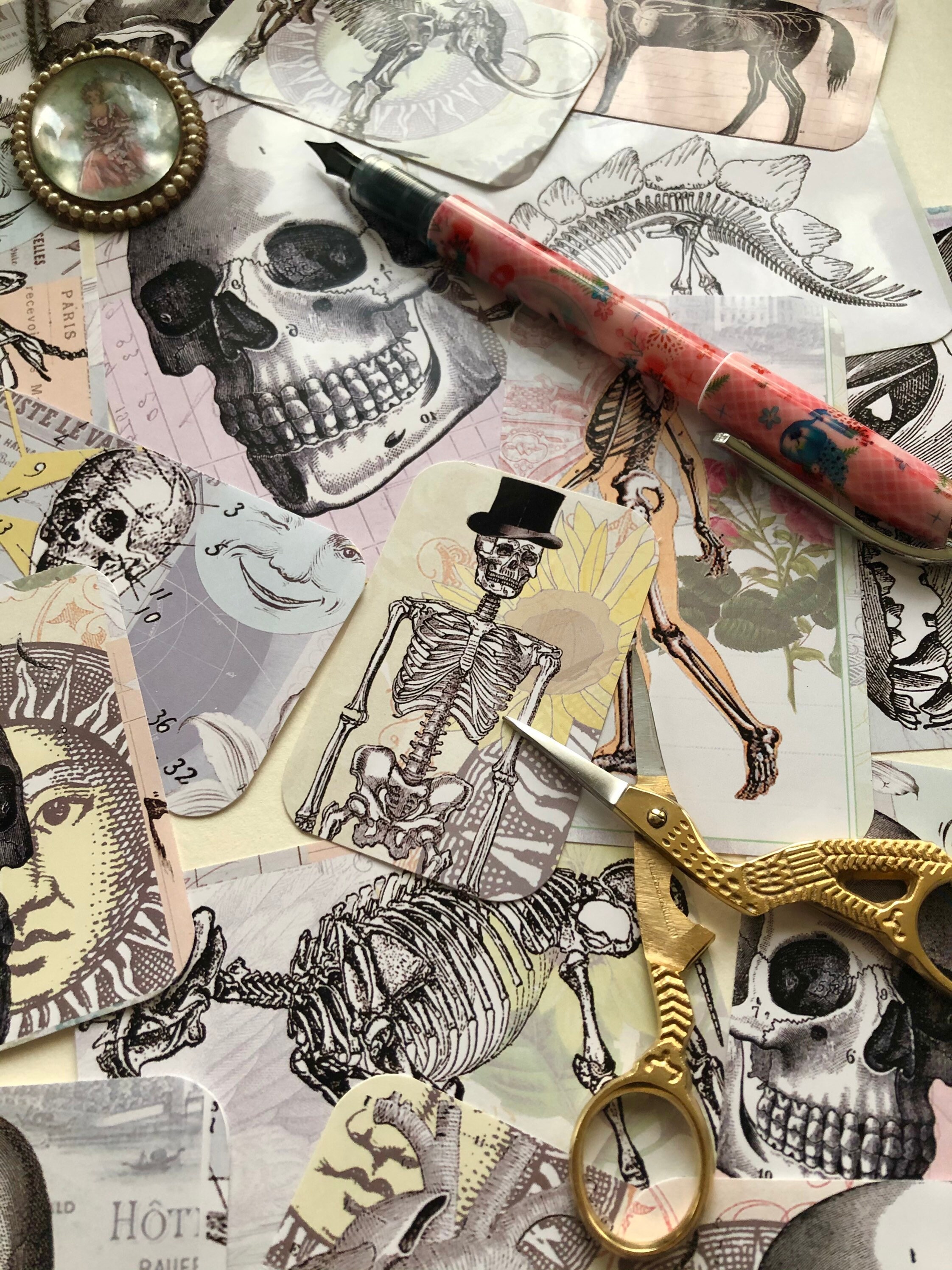 Skeleton Sticker Medical Anatomical Sticker Set, Skull, Skeleton, Dinosaur, Scrapbook Stickers ...