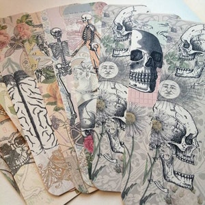Anatomical bookmarks. Skeleton and anatomical bookmarks