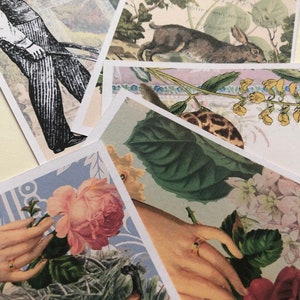 Cartes postales secrètes de jardin. Jolies cartes postales inspirées du jardin