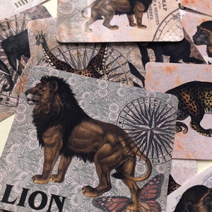 Adesivos de animais africanos. Adesivos de leão e outros safáris. Lindos adesivos inspirados em safáris. Adesivos de animais estilo vintage