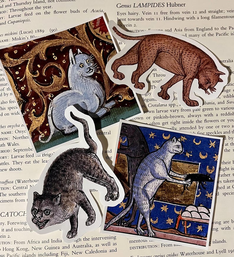 Medieval cat stickers. 12 Medieval cat stickers image 4