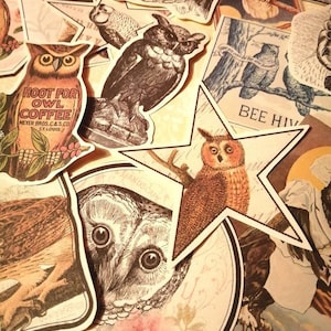 Autocollants owl. 17 autocollants de style vintage pour votre journal, fabrication de cartes et plus encore.