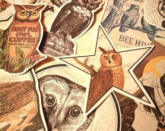 Pegatinas de búhos. 17 pegatinas de estilo vintage para tu diario, tarjetas y mucho más.