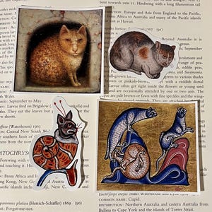 May include: A collection of vintage illustrations featuring various animals, including a cat, a snail, and a group of three cats. The illustrations are in a whimsical style with vibrant colors and intricate details.
