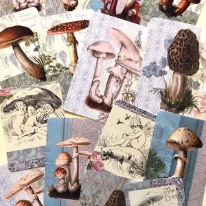 Mushroom stickers. Beautiful variety of mushroom stickers