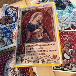 May include: A rectangular card featuring a medieval-style illustration of a person in a blue robe holding a tabby cat, with the text "Crazy Medieval Cat Lady" and Latin script "Deus qui tollis peccata mundi miserere nobis" printed below.