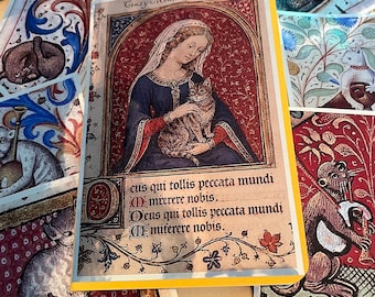 Medieval crazy cat lady notebook. Small notebook with free cat stickers