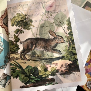 Carte de lièvre. Carte assez vintage de lièvre de modèle