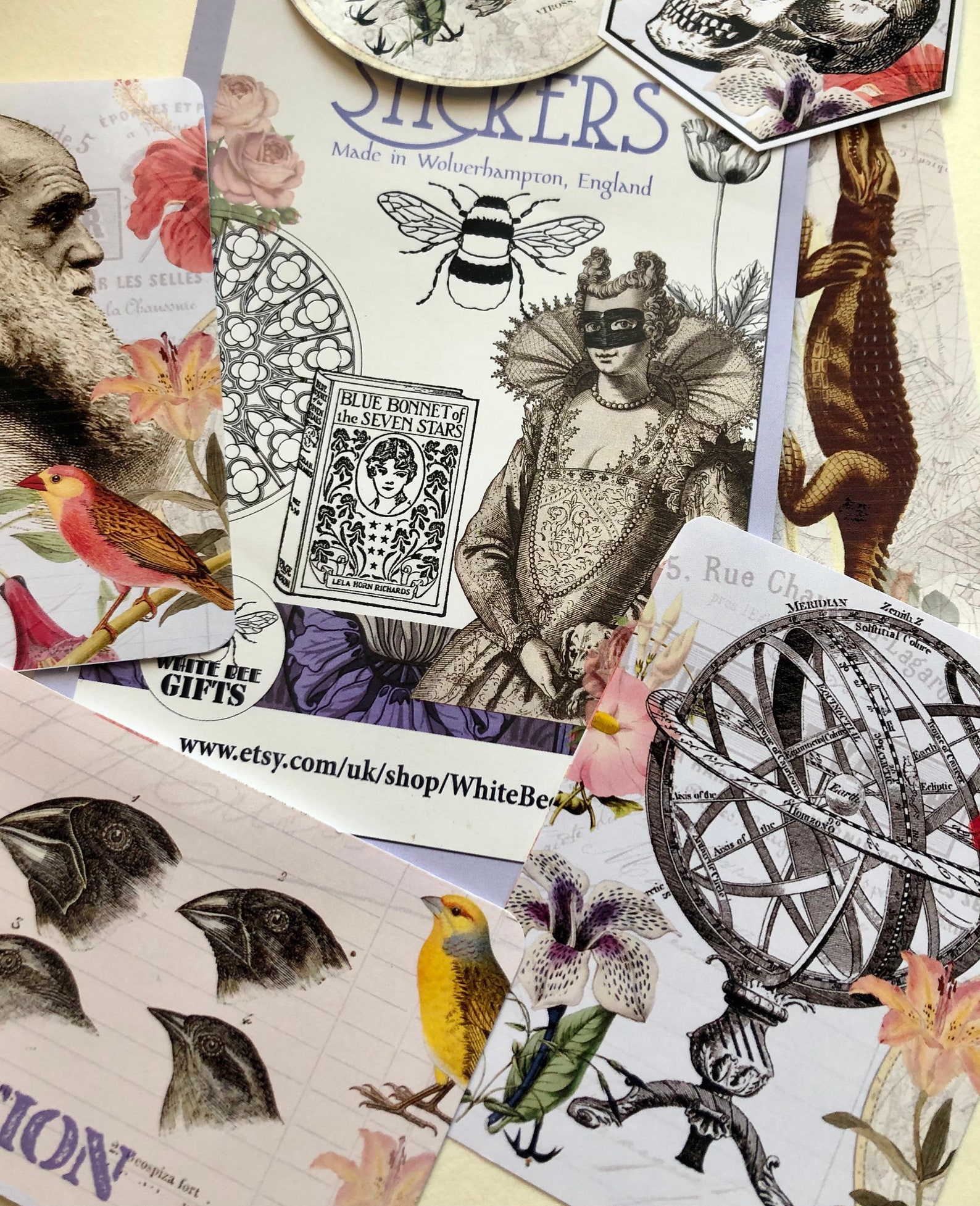 Charles Darwin Stickers - Beautiful Botanic Style Stickers - Etsy