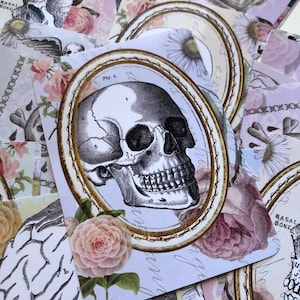 Skeleton stickers. Anatomical stickers of skulls and roses. Pretty stickers for your journal, card making and more